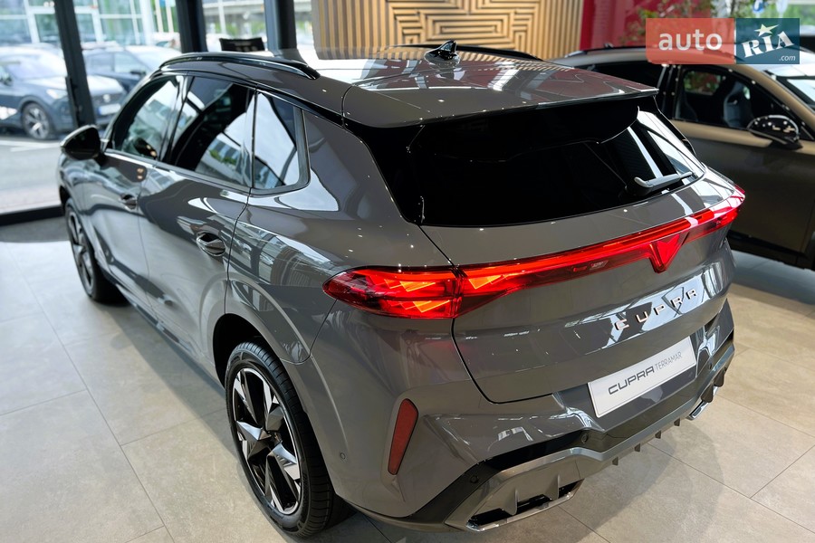 Cupra Terramar - фото 8