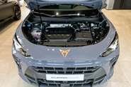 Cupra Terramar - фото 27