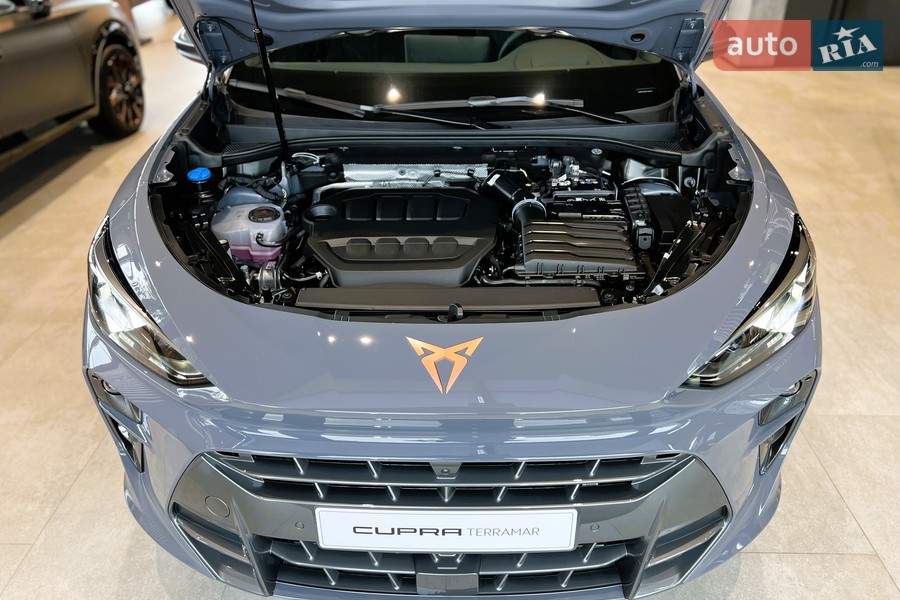 Cupra Terramar - фото 27