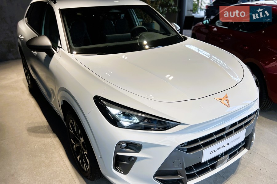 Cupra Terramar - фото 4