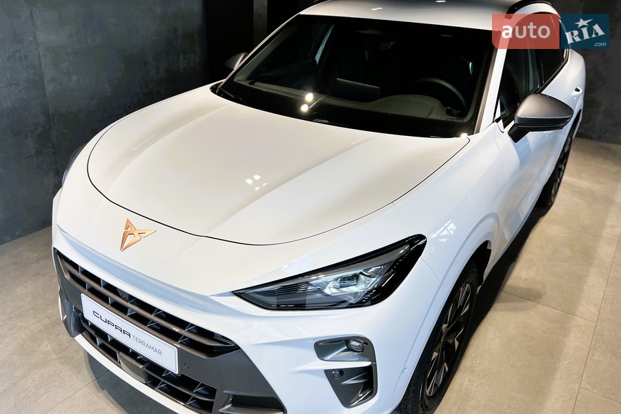 Cupra Terramar - фото 5