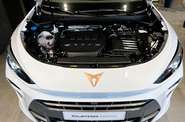 Cupra Terramar - фото 26
