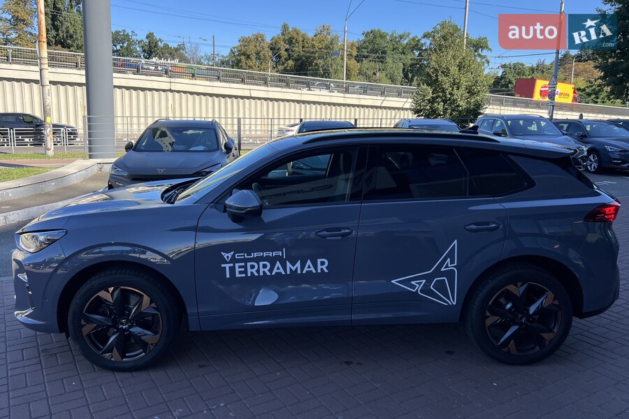 Cupra Terramar - фото 8