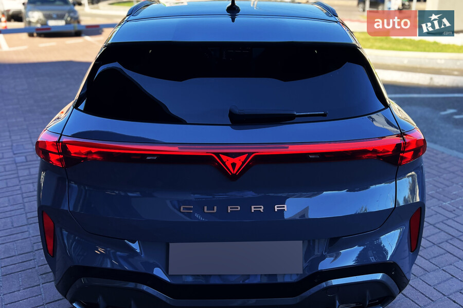 Cupra Terramar - фото 9