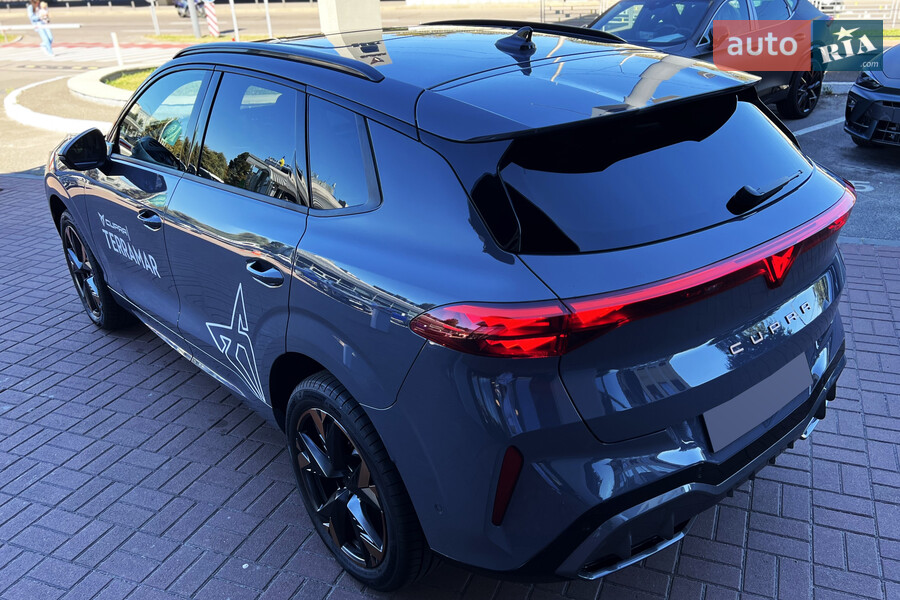 Cupra Terramar - фото 11
