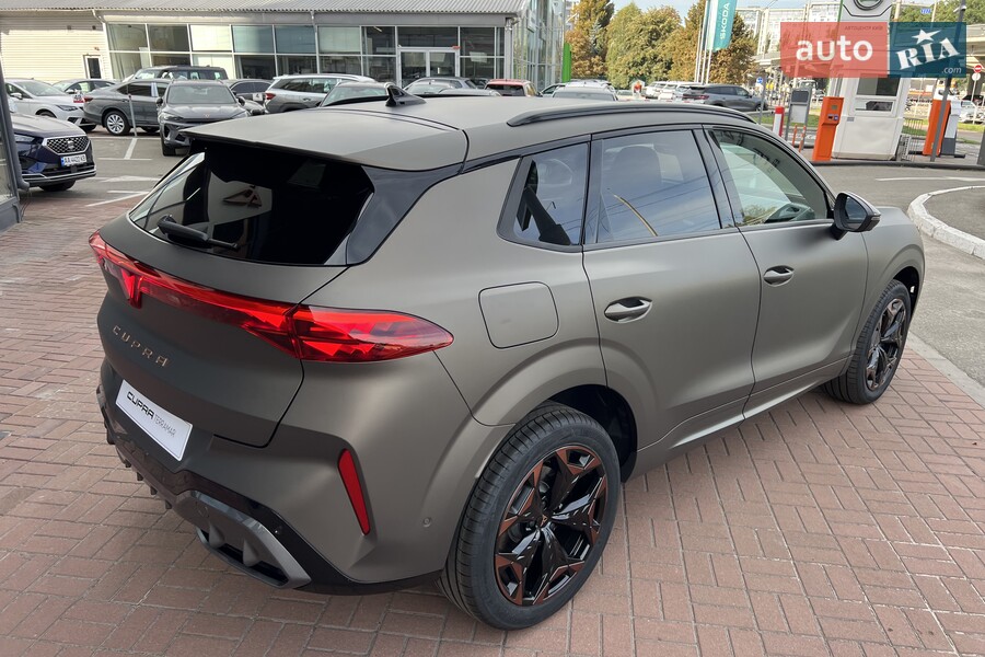 Cupra Terramar - фото 11
