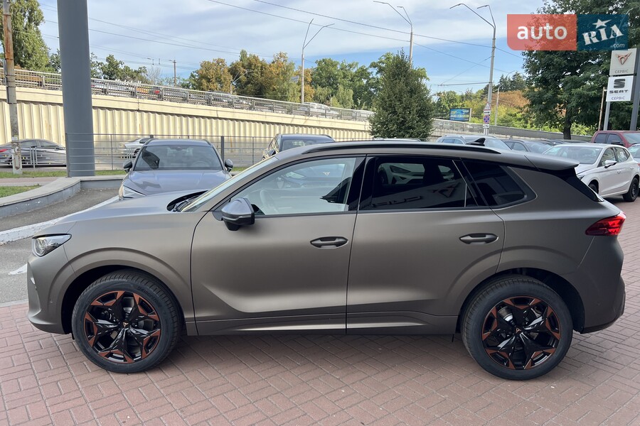 Cupra Terramar - фото 9