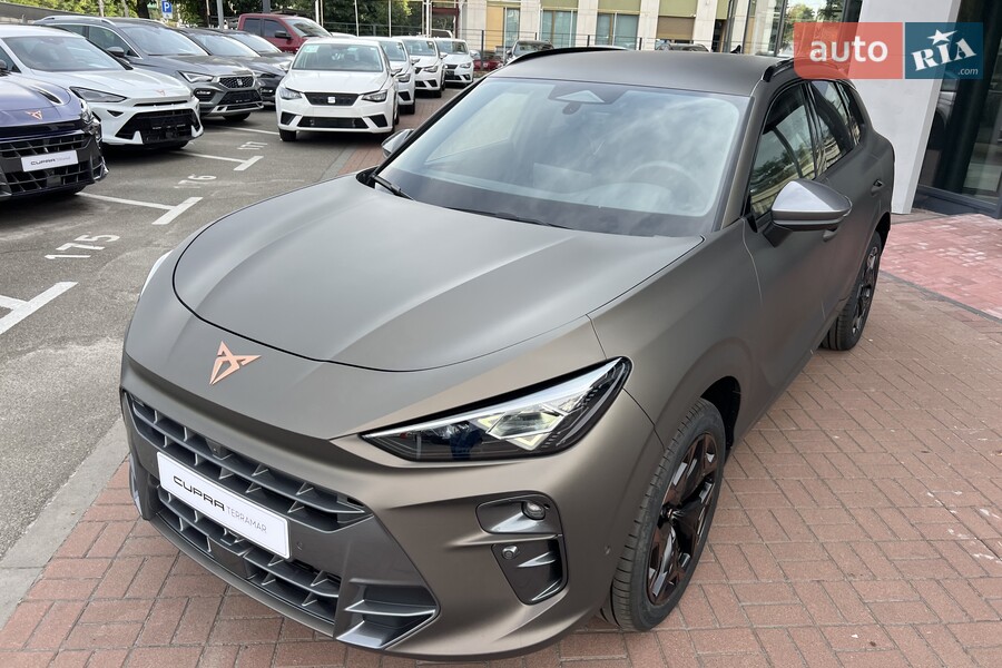 Cupra Terramar - фото 4