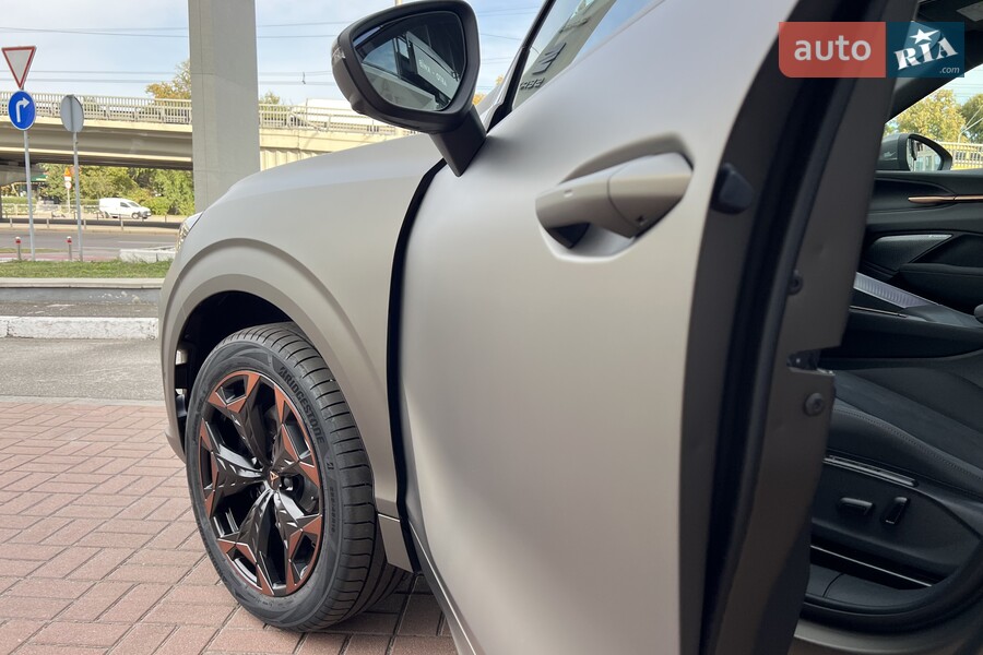 Cupra Terramar - фото 15