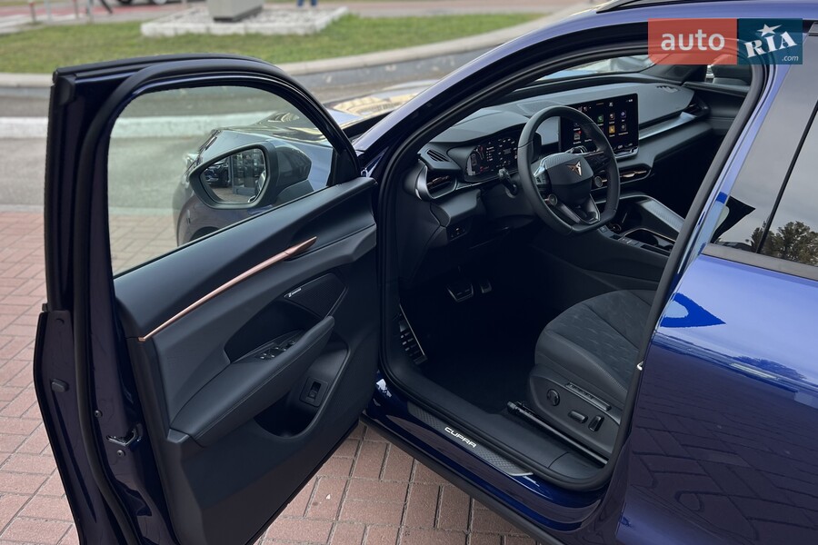 Cupra Terramar - фото 15