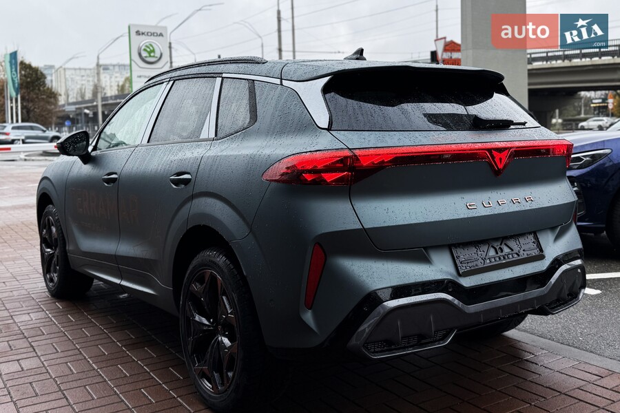 Cupra Terramar - фото 7