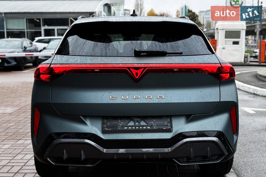 Cupra Terramar - фото 9