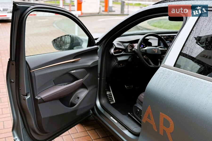 Cupra Terramar - фото 12