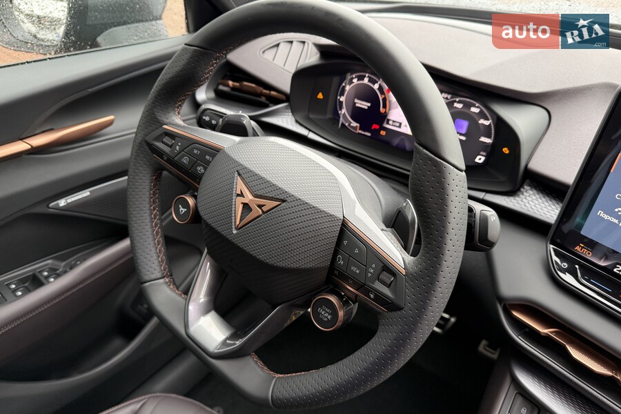 Cupra Terramar - фото 15