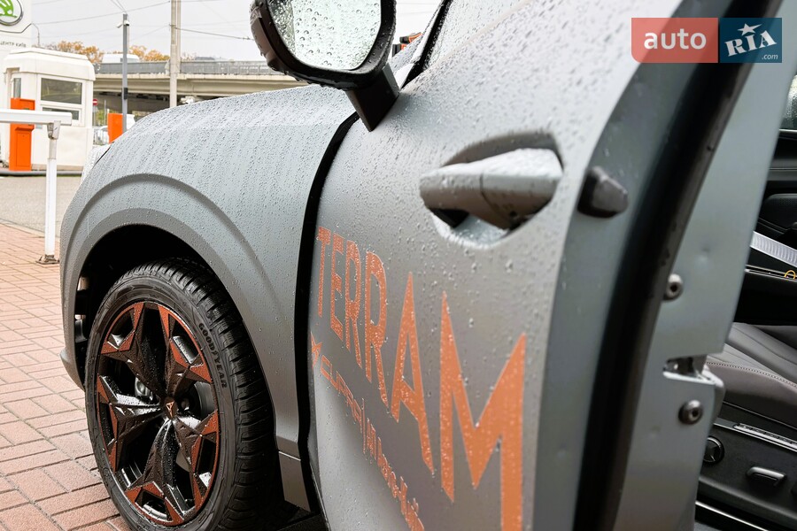 Cupra Terramar - фото 10