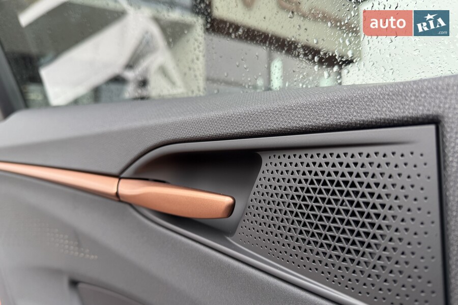 Cupra Terramar - фото 23