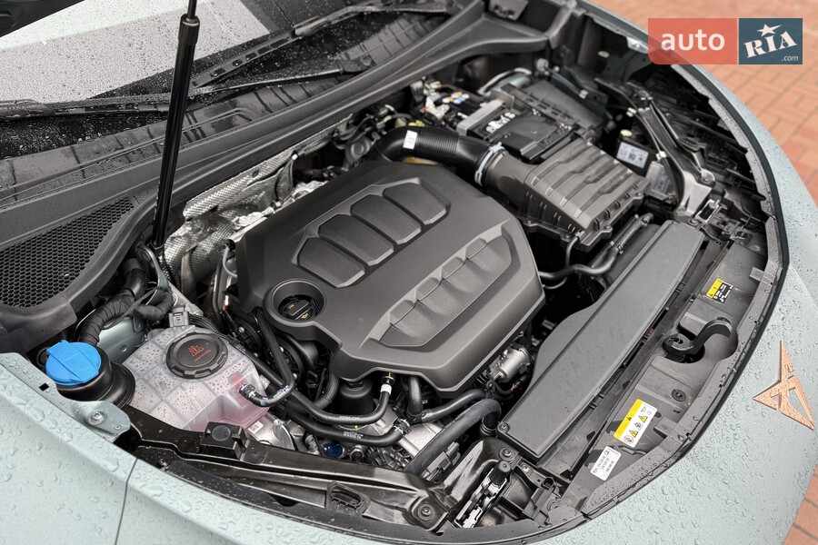 Cupra Terramar - фото 29