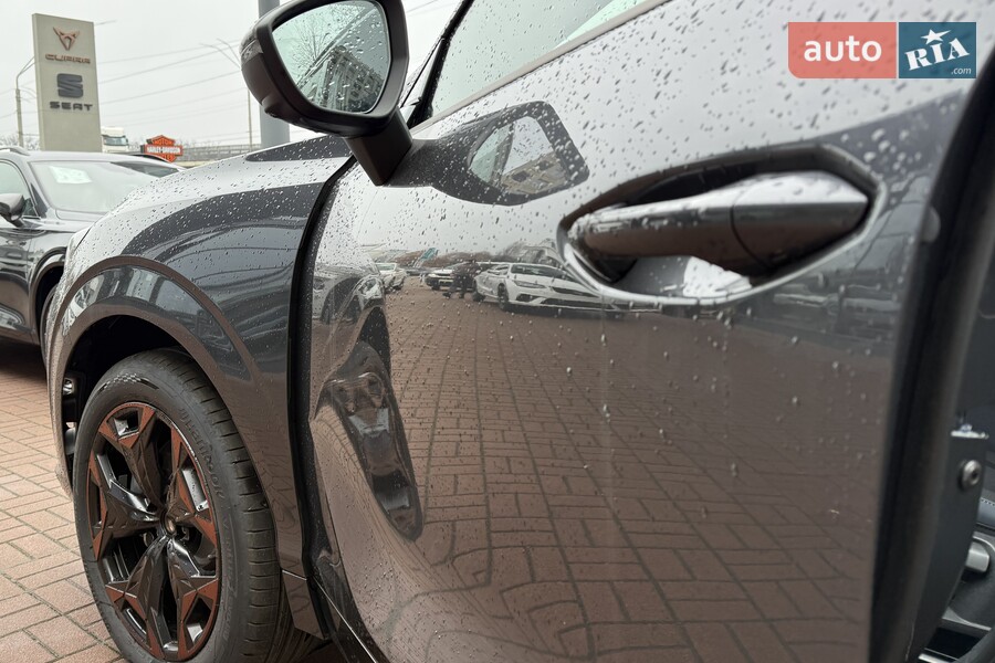 Cupra Terramar - фото 11