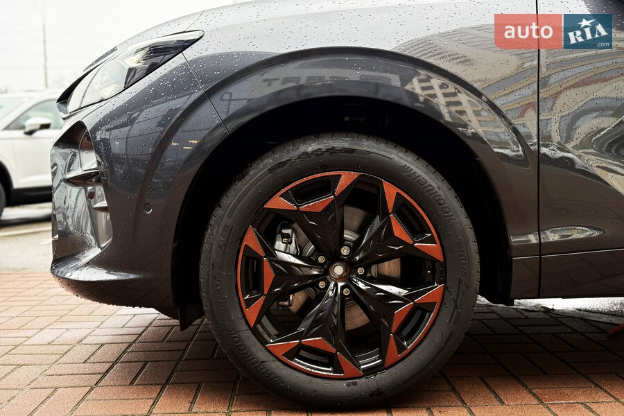 Cupra Terramar - фото 12