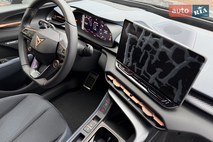 Cupra Terramar - фото 26