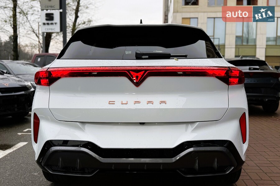 Cupra Terramar - фото 9