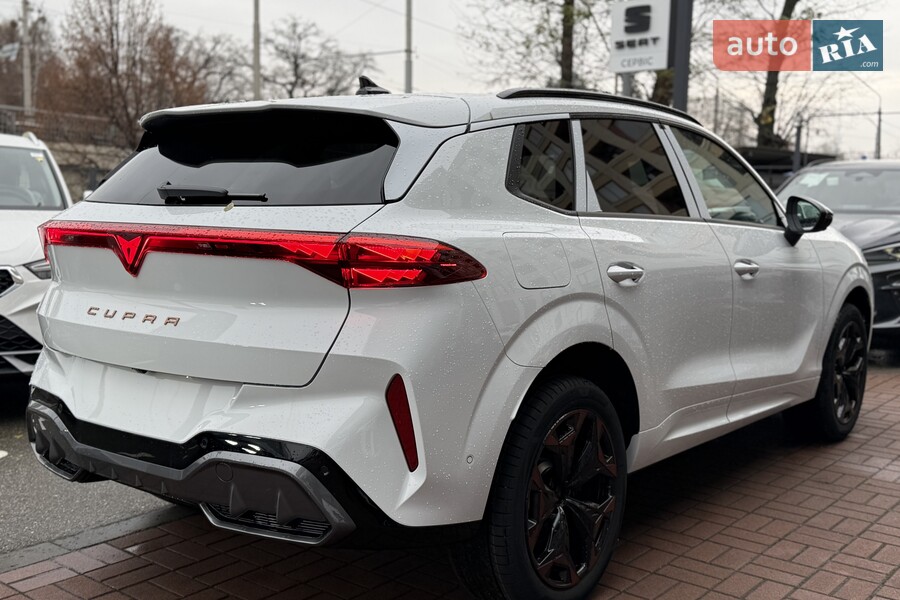 Cupra Terramar - фото 12