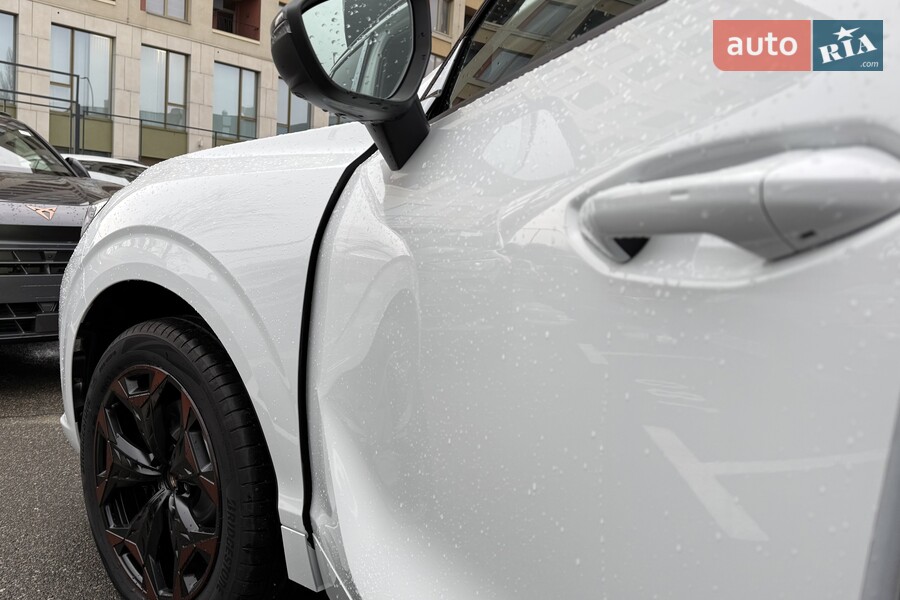 Cupra Terramar - фото 13