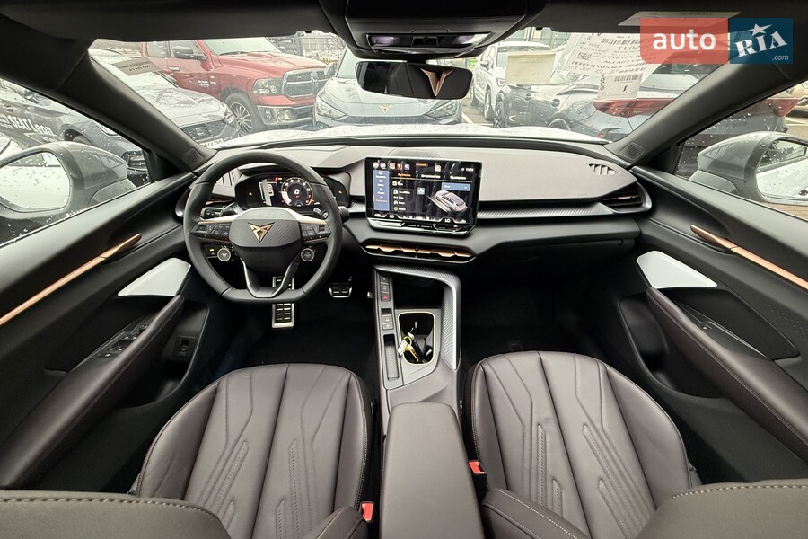 Cupra Terramar - фото 16