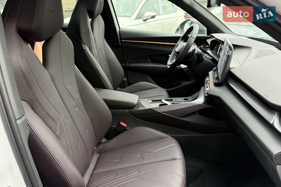 Cupra Terramar - фото 26