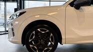 Cupra Terramar VZ
