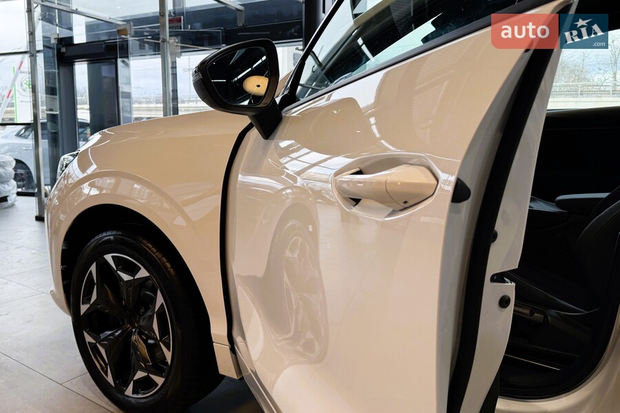 Cupra Terramar - фото 10