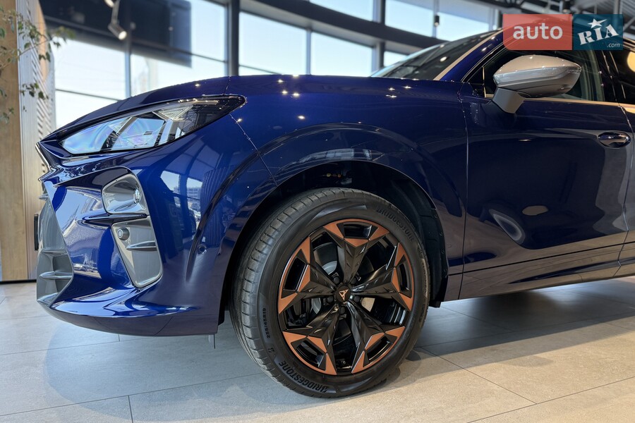 Cupra Terramar - фото 9