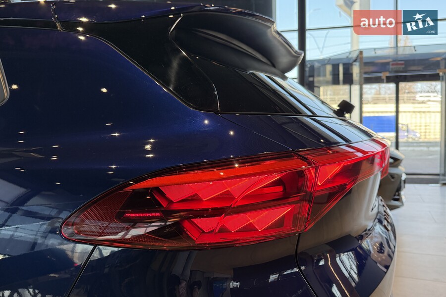 Cupra Terramar - фото 10