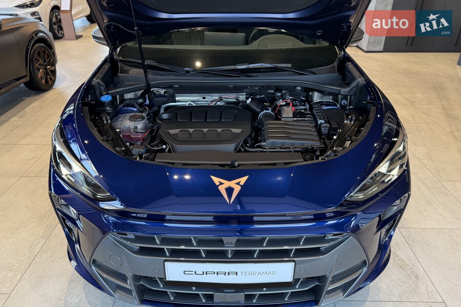 Cupra Terramar - фото 27