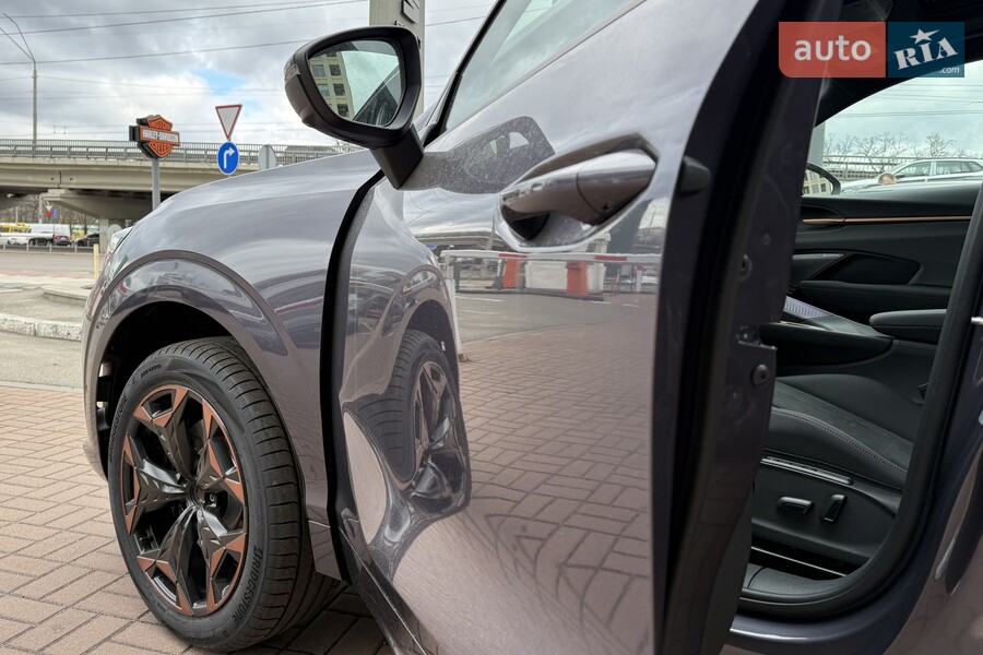 Cupra Terramar - фото 13