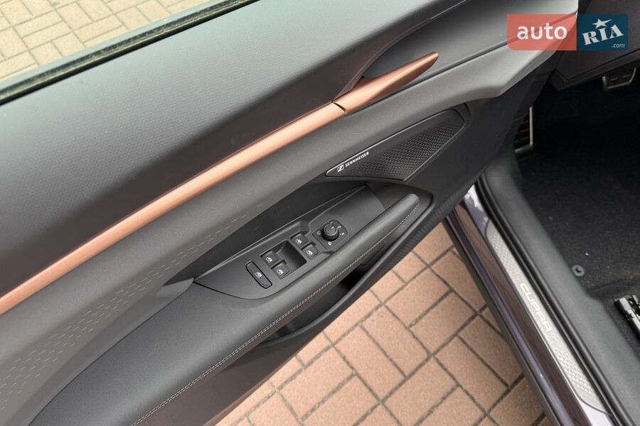 Cupra Terramar - фото 15