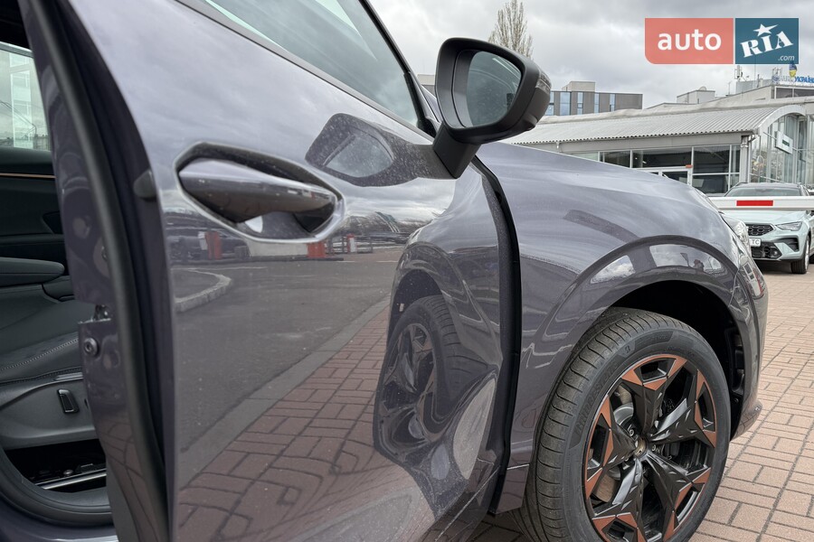 Cupra Terramar - фото 12