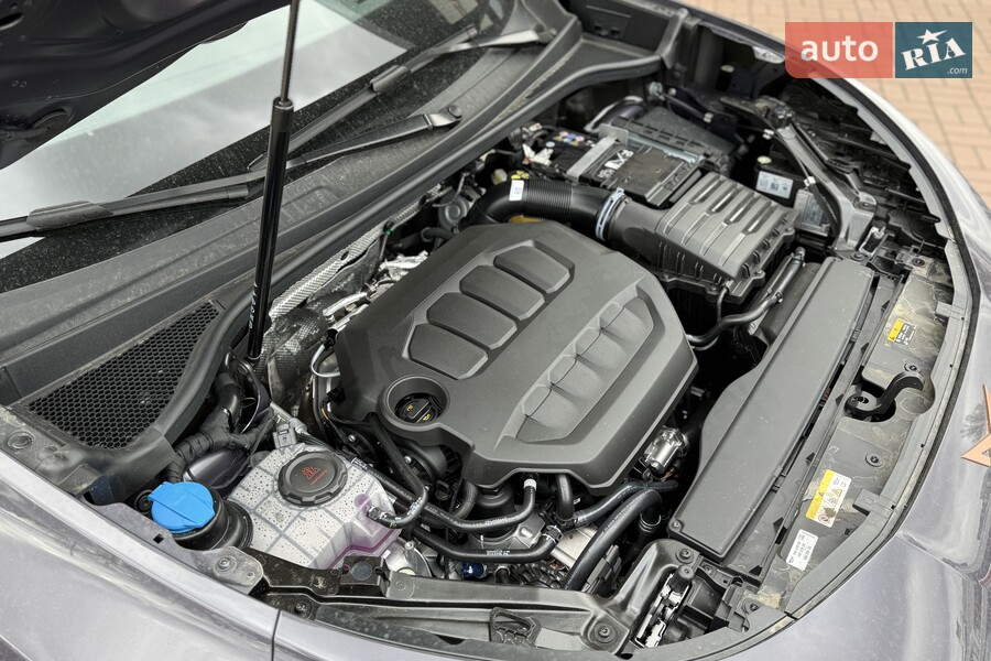 Cupra Terramar - фото 32