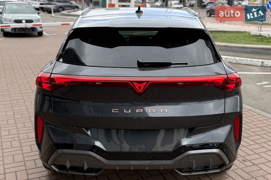 Cupra Terramar - фото 10