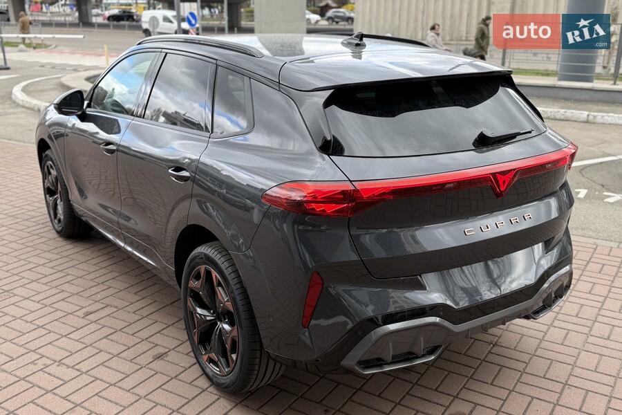 Cupra Terramar - фото 11