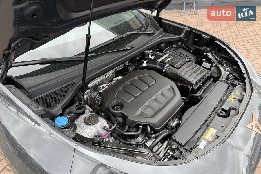 Cupra Terramar - фото 28