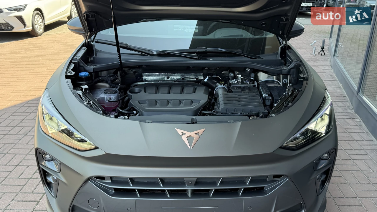 Cupra-9