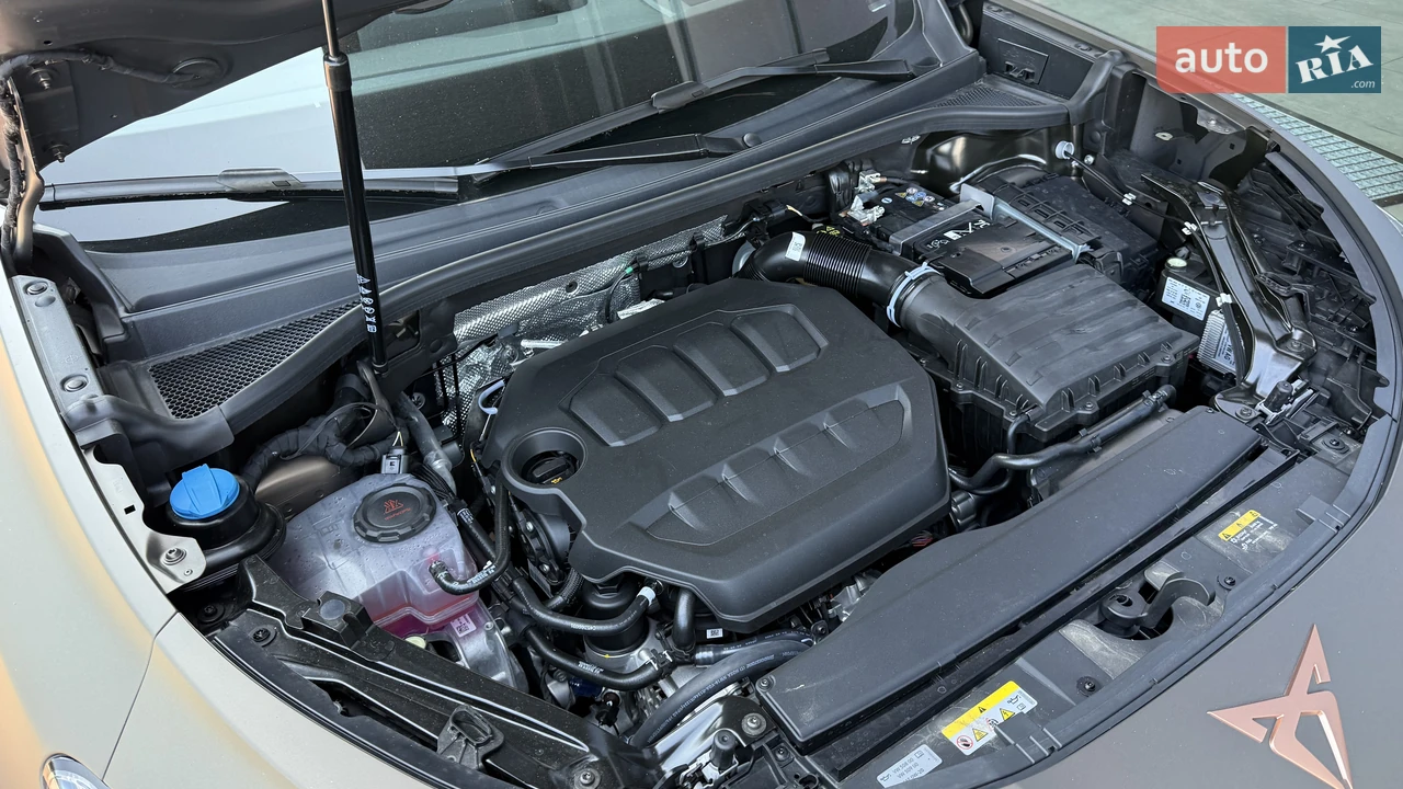 Cupra-31