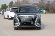 Denza D9 Premium