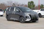 Denza D9 Premium