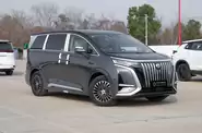 Denza D9 Premium