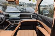 Denza D9 Premium
