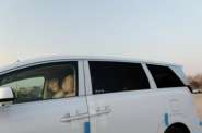 Denza D9 Luxury Edition