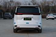 Denza D9 Luxury Edition