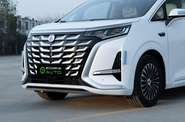 Denza D9 Luxury Edition